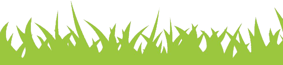 Footer en herbe